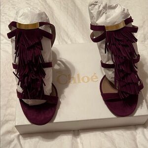 Stunning and fun Chloe fringed heel